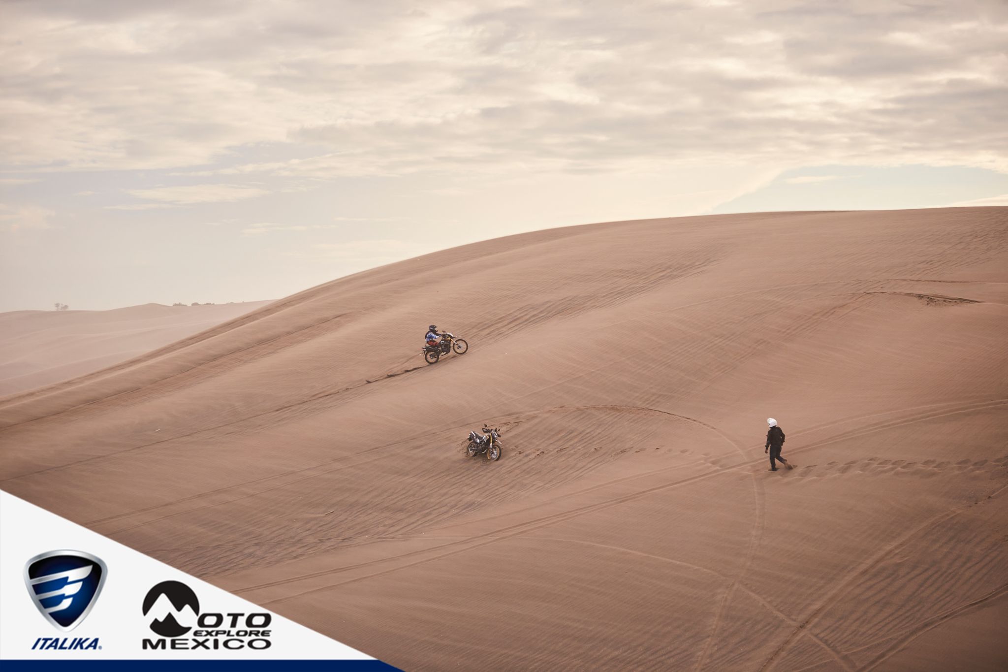 ITALIKA CHACHALACAS D2 485